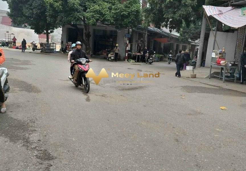 Đi nước ngoài bán đất Thị Trấn Thắng, Bắc Giang giá khoảng 1.6 tỷ diện tích thực 68 m2-01