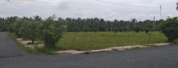 Cần bán lô đất mặt tiền, nằm gần khu công nghiệp Tân Hương, cách Quốc lộ 1A khoảng 500m-02