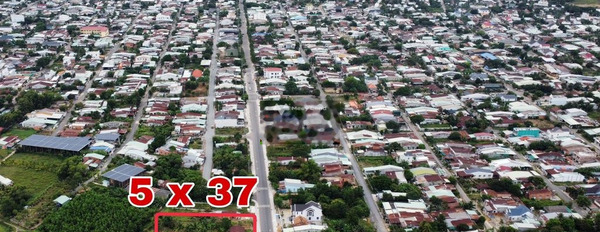 Tại Tây Ninh, Tây Ninh bán đất 3 tỷ với diện tích rộng 182m2-02