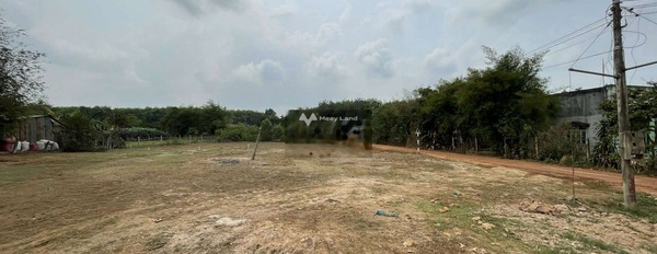 Bán đất Long Khánh, Long Khánh, diện tích 200m2-02