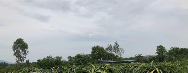 2 tỷ bán đất có một diện tích 6251.3m2 mặt tiền tọa lạc ngay trên Xuân Hòa, Xuân Lộc-02
