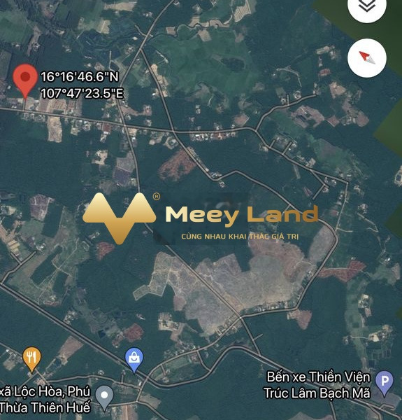 Giá bất ngờ 750 triệu bán đất diên tích gồm 603 m2 vị trí đẹp ở Bạch Mã, Lộc Hòa-01