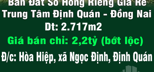 Chính chủ bán đất sổ hồng riêng giá rẻ trung tâm Định Quán-02