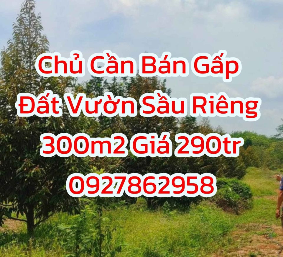 Bán nhà riêng huyện Dầu Tiếng tỉnh Bình Dương giá 290.0 triệu-0