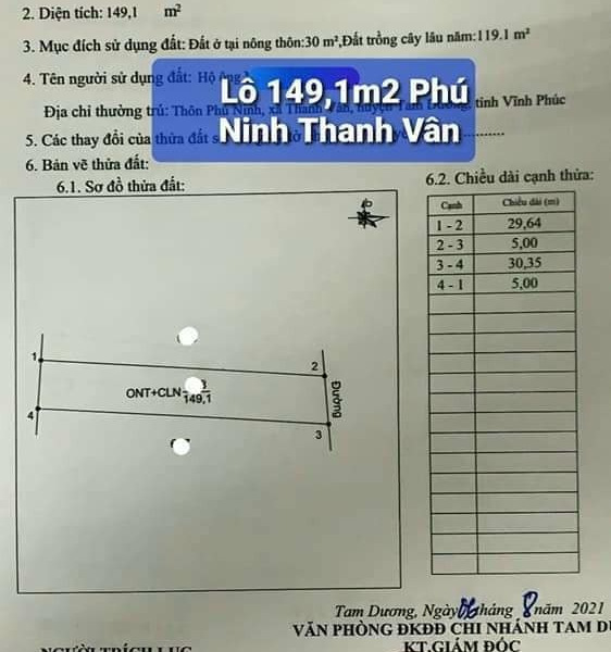 Rất cần thanh khoản gấp lô đất liền kề trục chính thôn Phú Ninh, Thanh Vân, Tam Dương-01