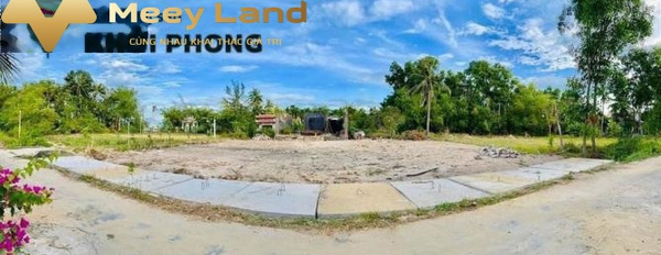 Giá 590 triệu bán đất Diện tích nền 129 m2 vị trí đẹp tại Xã Vinh Hưng, Tỉnh Thừa Thiên Huế, hướng Bắc-02