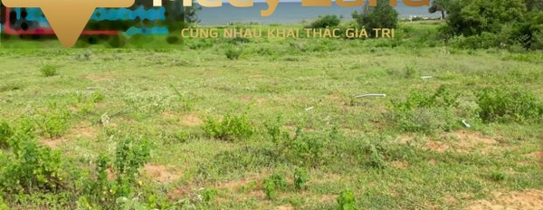 Đường Trần Lê, Xã Tiến Thành bán đất giá giao lưu từ 41.7 tỷ dt chung 4394 m2-03