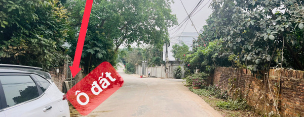 Bán đất trục chính tại thôn Xuân Mới, Thanh Vân, Tam Dương, Vĩnh Phúc-02