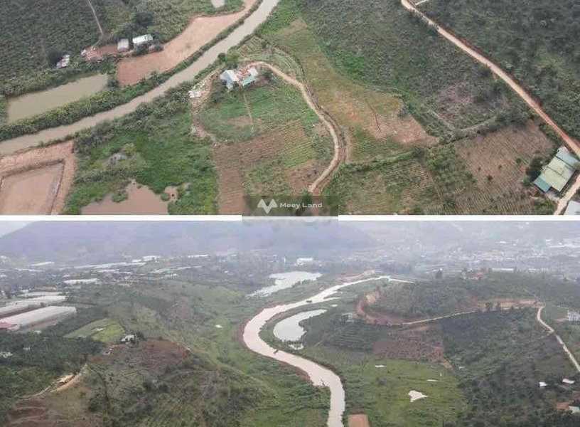 Ngay Nam Ban, Lâm Hà bán đất 1.7 tỷ diện tích khoảng là 1000m2-01