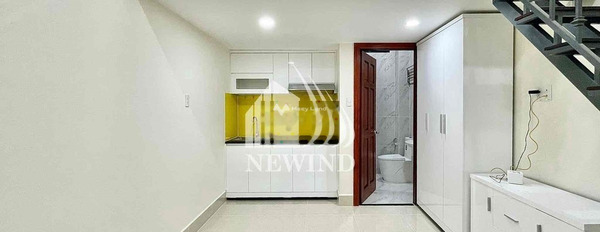 Căn hộ 1 phòng ngủ, cho thuê căn hộ mặt tiền tọa lạc gần Tân Quy, Hồ Chí Minh, trong căn hộ nhìn chung bao gồm 1 phòng ngủ, 1 WC gọi ngay!-02