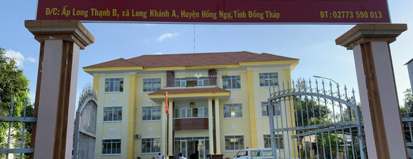 Long Khánh A, Đồng Tháp bán đất với diện tích chuẩn 450m2-02