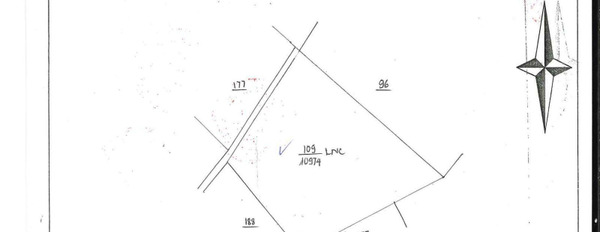 1.25 tỷ bán đất với tổng diện tích 5200m2 vị trí đẹp nằm ngay Di Linh, Lâm Đồng-02