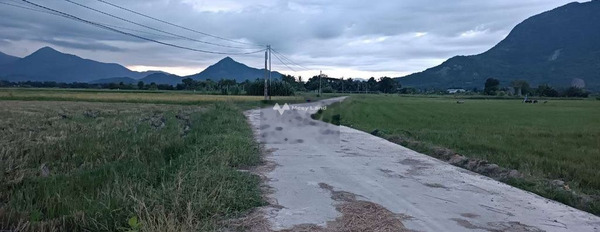 Bán đất 100 triệu Giải Phóng, Cam Phước Đông diện tích dài 983m2-03