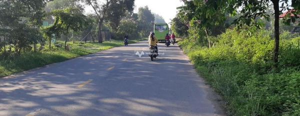 Do dịch bệnh bán đất Hương Lộ 2, Hồ Chí Minh giá bán siêu khủng chỉ 3.6 tỷ diện tích đúng với trên ảnh 743m2-03