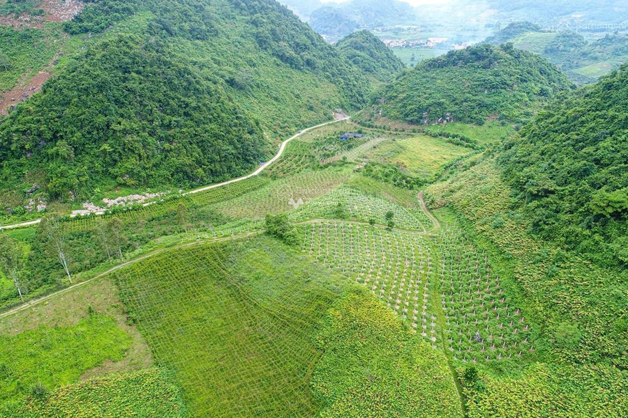 Nằm trong mức 4.4 tỷ bán đất có diện tích chuẩn 4000m2 vị trí đặt tọa lạc tại Thuận Nam, Bình Thuận-01