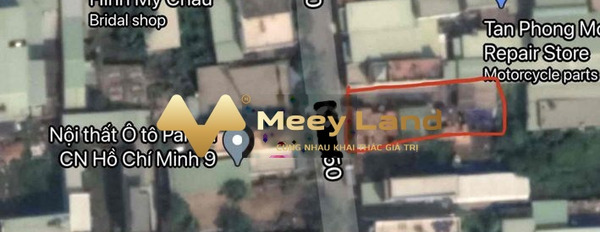 Bán đất tại Trường Thạnh, Hồ Chí Minh, giá 15,5 tỷ, diện tích 320m2-03