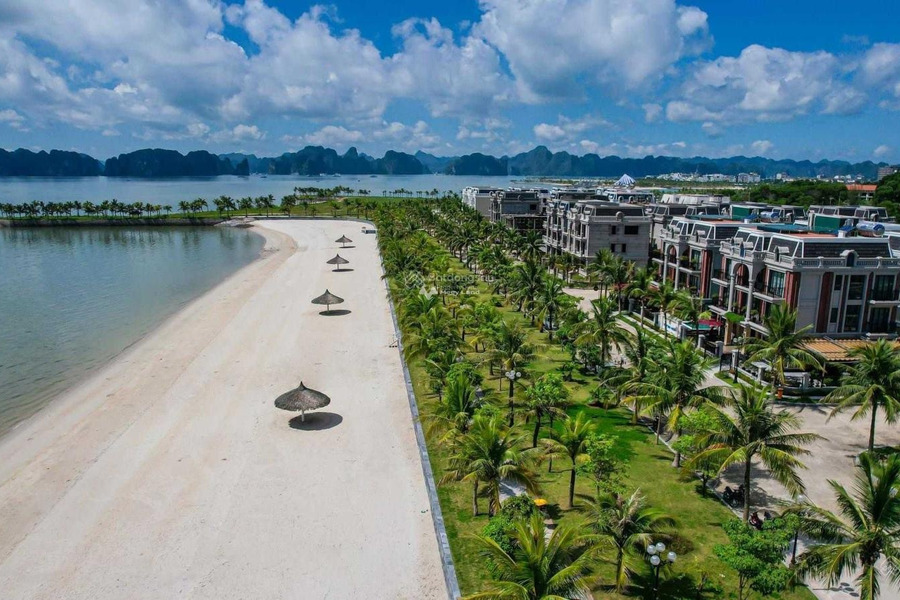 Tuần Châu Marina Hạ Long, bán biệt thự mặt tiền nằm ở Tuần Châu, Quảng Ninh bán ngay với giá siêu rẻ 26.45 tỷ Diện tích nền 481m2, hướng Đông - Nam-01