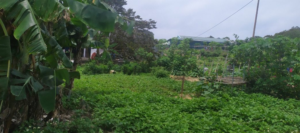 Bán đất tại Cô Tô, Quảng Ninh. Diện tích 346m2, giá thương lượng