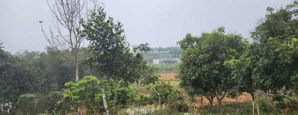 Bán đất diện tích 7000m2 tại Đông Xuân, Quốc Oai-03