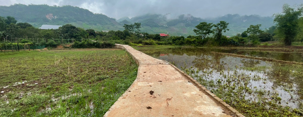 Bán đất tại Mường Sang, Mộc Châu, Sơn La. Diện tích 5444m2, giá thương lượng-02