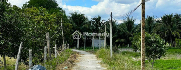 Cam Thành Nam, Cam Ranh 9.7 tỷ bán đất toàn bộ khu vực có diện tích 13860m2-02