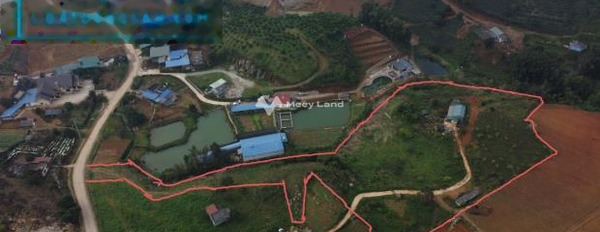 Giá bán siêu ưu đãi 111.11 tỷ, Bán đất với diện tích thực 13000m2 tọa lạc gần Mộc Châu, Sơn La tiện ích bao phê-03