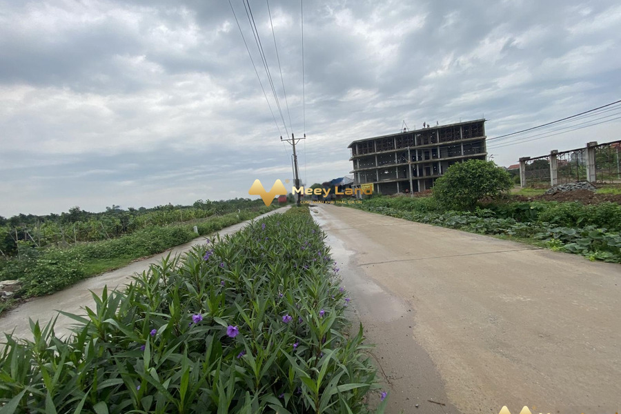 Xã Nghĩa Trụ, Huyện Văn Giang bán đất, hướng Nam diện tích rộng lớn 200 m2-01