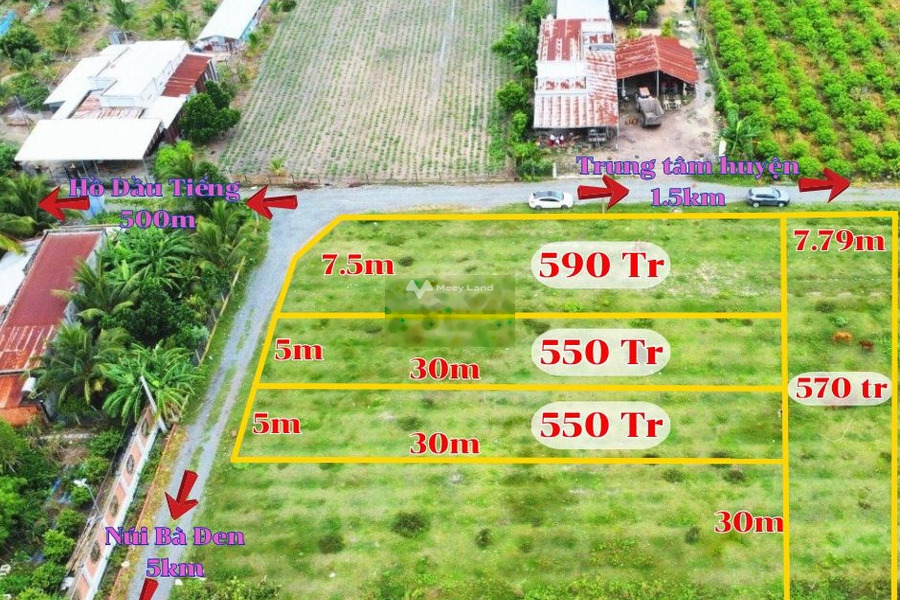 Cần xoay sở tiền bán mảnh đất, 233m2 giá siêu tốt chỉ 570 triệu vị trí tốt đặt nằm ngay Đường Số 2, Dương Minh Châu giao thông thuận lợi-01