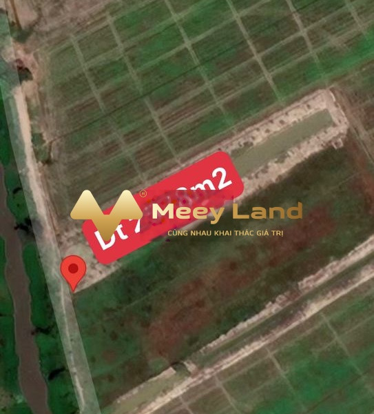 Diện tích chuẩn 2578m2, bán đất giá bán ưu đãi từ 1,45 tỷ xã Phương Trà, Huyện Cao Lãnh, tỉnh Đồng Tháp-01