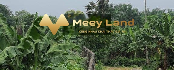 Cần bán khuôn viên đẹp tại Lương Sơn cách Quốc lộ 6 3km cực kì sang trọng-02