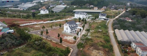 Vị trí đặt tọa lạc ngay tại Phường 7, Lâm Đồng bán đất giá cực rẻ chỉ 7.2 tỷ Có tổng diện tích 215m2, lộ trước nhà 10 m-03