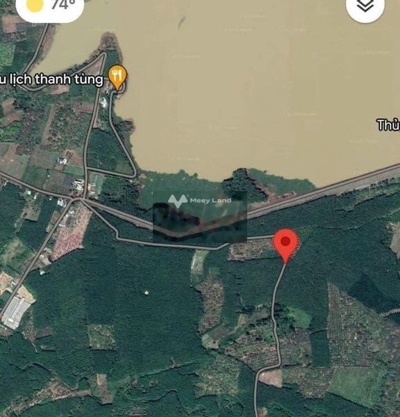 Bán đất giá 190 triệu, diện tích 1000m2 gần Thanh An, Hớn Quản-01