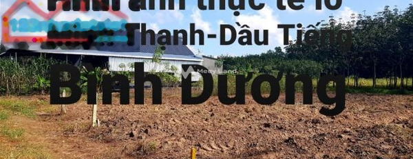 Giá bán quy định 119 tỷ bán đất diện tích gồm 175m2 vị trí tiềm năng Đt 749B, Bình Dương-03