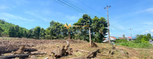 Bán đất có diện tích là 4400 m2 vị trí thuận lợi ngay ở Đường Tỉnh Lộ 8, Huyện Khánh Vĩnh-03