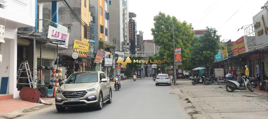 Giá bán hợp lý 115 triệu bán nhà dt 84 m2 nằm trên Thị Trấn Trâu Quỳ, Huyện Gia Lâm vị trí thuận lợi