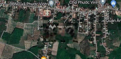 Giá cực rẻ 300 triệu bán đất diện tích cụ thể 140m2 vị trí đẹp gần Phước Vinh, Tây Ninh, hướng Nam-03