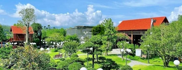 Bán lô đất vườn đẹp như tranh vẽ tại Hoà Phú, Hoà Vang cám ơn quý khách đã đọc tin cảm ơn đã xem tin-03