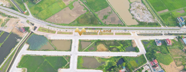Do vấn đề tài chính bán mảnh đất, 126 m2 giá bán thương mại chỉ 1.64 tỷ tại Hoằng Đạo, Thanh Hóa, hướng Nam tiện ích đầy đủ-02