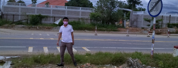 Bán đất mặt tiền Quốc lộ 1A thị trấn Hàm Thuận Nam - Bình Thuận, tiện kinh doanh-03