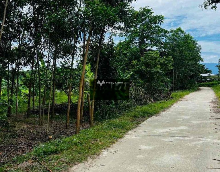 Giá cực êm chỉ 199 triệu bán đất với diện tích thực 372m2 vị trí thuận lợi nằm ở Khánh Vĩnh, Khánh Hòa-01