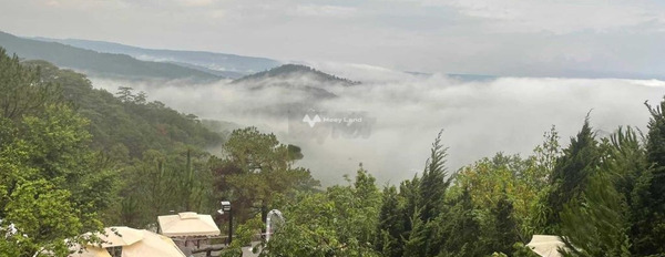 Lô đất 95m2 full thổ cư Giá 450 triệu view săn mây, mặt tiền Xuân Thọ -03