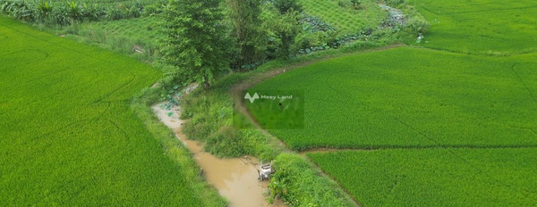 Bán đất Chợ Mới, An Giang diện tích 6300m2-02