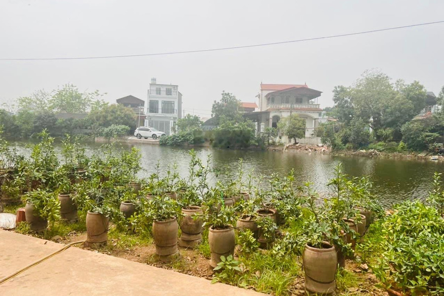 Bán nhanh view hồ thoáng mát tại: Bá Khê Liên Nghĩa Văn Giang Hưng Yên -01