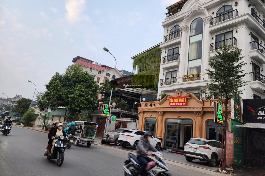Yên Xá, Hà Nội, bán biệt thự, bán ngay với giá thực tế từ 38 tỷ diện tích thực khoảng 206m2 pháp lý nhanh-01