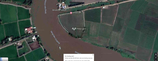 Tọa lạc ngay Bờ Sông, Đức Hòa cho thuê đất giá thuê công khai chỉ 50 triệu/tháng diện tích sàn là 15151m2-02