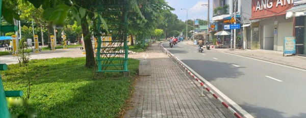 Nằm tại Bình Tân, Hồ Chí Minh bán đất, giá mềm từ 8.8 tỷ diện tích 328m2-03