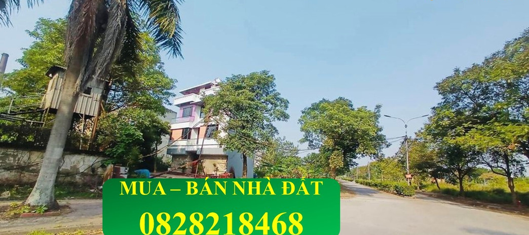 Bán đất biệt thự, 350m2 Khu đô thị Cao Hà, đất đẹp, nhìn ra sông, giá tốt