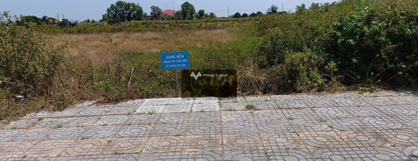 Mặt tiền tọa lạc gần Nguyễn Việt Khái, Phú Tân bán đất giá đặc biệt 1.05 tỷ có một diện tích sàn 8999m2-03