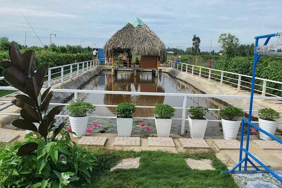 Bán đất vườn Tân Thành - Thủ Thừa - Long An-01