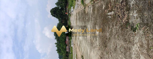 Vị trí đặt tọa lạc ngay ở Xã Hoàng Hoa, Huyện Tam Dương bán đất giá rẻ bất ngờ 1.18 tỷ dt thực là 100 m2-02